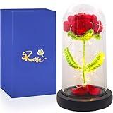 Gee Hut Handmade Crochet Flower Light Up Rose Dome, Red Beauty Beast Rose Gifts for Women, Creative Knitted Decor