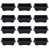YaeMarine 12Pcs 6.5” Plastic Bonsai Training Pots Flower Plant Retro Style Rectangle Nursery Pots Retro Style