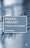 Process Theology: A Guide for the Perplexed (Guides for the Perplexed)