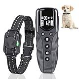 Tiniest Shock Collar