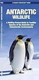 Antarctic Wildlife (Nature Observation International)