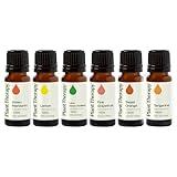Plant Therapy Essential Oils Fruits Set - Grapefruit, Tangerine, Lemon, Mandarin, Lime, Orange Sweet 100% Pure, Undiluted, Natural Aromatherapy, Therapeutic Grade 10 mL (1/3 oz)
