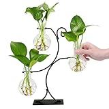 Renmxj 2025 New Desktop Plant Propagation Stations, Plant Terrarium with Metal Stand, 3 Bulb Glass Propagation Vases for Hydroponic Plants, Home Office Decor Planter Gardening Gifts for Women
