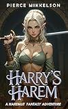 Harry's Harem: A Haremlit Fantasy Adventure
