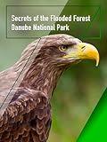 Secrets of the Flooded Forest - Danube National Park