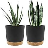QCQHDU 8 inch Plant Pot, 2 Pack Planters for Indoor Plants with Drainage Holes & Saucer, Outdoor Flower Pots Home Garden Modern Decor