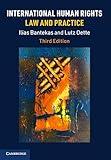 International Human Rights Law and Practice