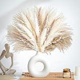70PCS Natural Dried Pampas Grass Boho Home Decor Bouquet Phragmites Dried Flowers Bouquet for Wedding Floral Arrangements Home Decorations (70PCS)