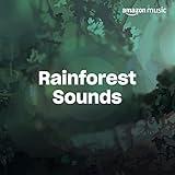 Rainforest Sounds