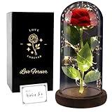 Mom Gifts for Valentine's Day, Rose Flower Gifts for Women, Beauty and The Beast Rose, Valentine's Day Women Gift, Galaxy Rose Flower Gift for Girlfriend, Rose in A Glass Dome with LED Light