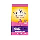 Wellness Complete Health Dry Dog Food for Small Dogs, Toy Breed, Wholesome Grains, Natural, Chicken, Brown Rice, & Peas Recipe, 4-Pound Bag