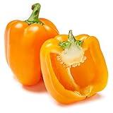 Organic Orange Bell Pepper