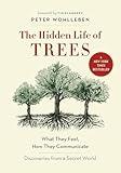 The Hidden Life of Trees: What They Feel, How They Communicate―Discoveries from A Secret World (The Mysteries of Nature, 1)