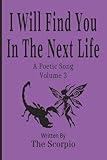 I Will Find You In The Next Life: A Poetic Song - Volume 3