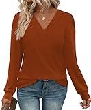 WIHOLL Fall Outfits for Women 2025 Fashion Long Sleeve Tops Tunic V Neck Thanksgiving Shirts Winter Clothing Dressy Casual School Teacher Early Camarel L