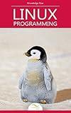 Beginning Linux Programming: by Knowledge flow (Programming & Computer Science Series)