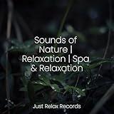 Mystic Allure Melodies