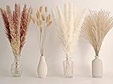 65PCS Pampas Grass Decor, Including pompas Floral, Reed Dried Grass and Bunny Tails Dried Flowers, Natural Dried Pampas Grass Bouquet for Boho Decor Wedding, Home Decoration
