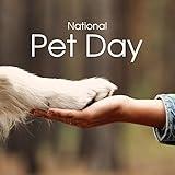 National Pet Day (Guide Dogs Training for the Blind, Happy Puppy Day 2023)