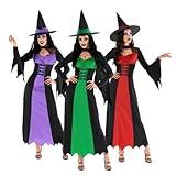 Morph Witch Costume Women, Green Wicked Witch Costumes For Women, Halloween Costumes For Womens Adult, X-Large