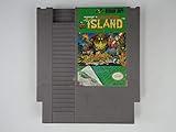 Adventure Island - Nintendo NES (Renewed)