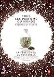 All the flavors of the world: Tonka Bean from Venezuela ( Tous les parfums du monde: La Fève Tonka du Venezuela ) ( A World Of Scents )