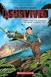 I Survived the Bombing of Pearl Harbor, 1941 (I Survived Graphic Novel #14) (I Survived Graphix)