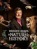 Fantastic Beasts: A Natural History