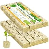 Halatool 72PCS 1.2 inch Rockwool Cubes Garden Hydroponic Pods Starter Plugs for Hydroponics Soilless Cultivation Seedling Starting Cuttings Clone & Plants Propagation (2 Sheets, 72 Plugs in Total)
