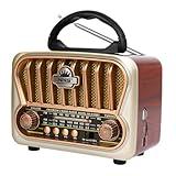 T.TAOMI Portable AM FM Radios, Transistor Shortwave Radio Retro Vintage Radios with Loud Speakers, Support USB Power (Champagne Gold)
