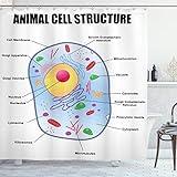 Ambesonne Science Shower Curtain, Microbiology Theme Animal Cell Structure Genetic Research Study Science, Cloth Fabric Bathroom Decor Set with Hooks, 69" W x 70" L, Pale Blue