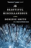 The Beautiful Miscellaneous: A Novel