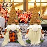 Thanksgiving Decorations for Home - Fall Decor - Cute Thanksgiving Gnomes Plush Doll for Office, Indoor, Living Room, Tiered Tray, Harvest Table Supplies - Autumn Birthday Gifts Basket Ideas for Women