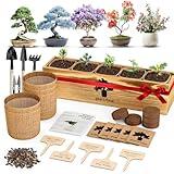 5 Pack Bonsai Tree Kit - Unique Gardening Gift Set for Plant Lovers | Complete Japanese Bonsai Starter Kit with Seeds, Tools & Planters | Ideal Christmas, Birthday Gifts for Women & Men