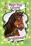 Magic Pony Carousel #2: Brightheart the Knight's Pony