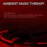 1. New Age Healing Music for Chillout. Relaxation. Meditation...
