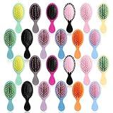 IANFAN 24 Pack Mini Hair Brush Bulk, Soft Bristles Detangling Brushes for Wet and Dry Hair Travel Detangler Brush for Most Hair Types, Multicolor