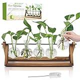 Renmxj Plant Propagation Station, Propagation Vases for Plants, Unique Gardening Birthday Gifts for Women Plant Lovers Mom Best Friend - 5 Bulb Glass Vases