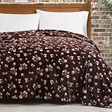 Lucky Brand Daisy Brown Floral 90"X90" Cozy Plush Blanket - Premium Microfiber Throw for Luxurious Comfort and Style Full/Queen Size