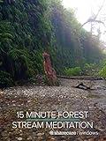 15 Minute Forest Stream Meditation