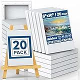 Halobios Blank Canvases - 8x10in Stretched Canvases, 20 Pack, 5/8 Inch Profile, 100% Cotton Artist Framed Canvas for Acrylics, Oils & Other Painting Media