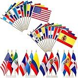 LyButty 22 Countries Spanish Speaking Flags on Wood Stick Small Mini Latin American Latino Hand Held Flags for Heritage Hispanic Month Decorations,5x8 Inch