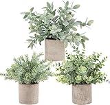 Der Rose 3 Pack Mini Potted Fake Plants Artificial Plastic Eucalyptus Plants Topiaries for Home Office Desk Farmhouse Room Bathroom Decor