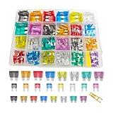 Mandark 272PCS Car Fuses Assortment Kit, Vehicle Mixed Standard & Mini & Low Profile Mini Fuse (2A 5A 7.5A 10A 15A 20A 25A 30A 35A), Interior Accessories Replacement for RV, SUV, Truck