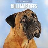 Red Robin 2026 Bullmastiffs Monthly Wall Calendar | 12" x 24" Open | Premium Thick & Sturdy Paper | Hangable 12 Month Calendar | Lined Notes & To Do Area | Vivid Images | Plastic Free