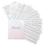 In The Slightest - Clear Black Foil Planner Stickers - Productivity - Functional - Icons - Words - Over 600 Stickers - Folder Included - Minimal - Midnight