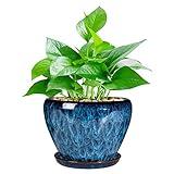 Ceramic Modern Glaze Succulent Planter Pot with Drainage Hole and Saucer 6 Inch Round Flower Plant Pot for Indoor Outdoor Herb Snake Plants