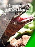 The Dragons of the Canary Islands