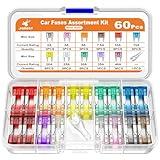 JOREST 60Pcs Car Fuse Kit - Replacement Fuses Assortment Kit for Car/RV/Truck/Motorcycle(2Amp 3A 5A 7.5A 10A 15A 20A 25A 30A 35A 40A) - Mini Blade Fuses Automotive + Auto Fuse Puller