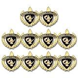 Shop Awards and Gifts 1 Inch Academic Enamel Lapel Pins, Academic Excellence, Pack of 10